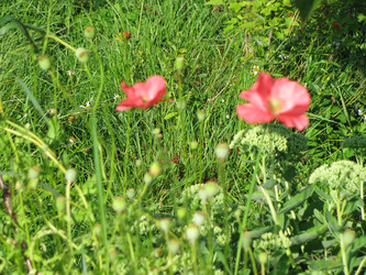 Similar image 21671286