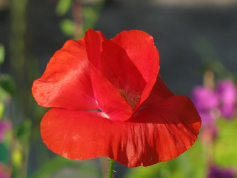 Similar image 21671287