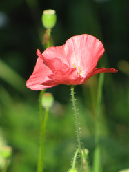 Similar image 21671288