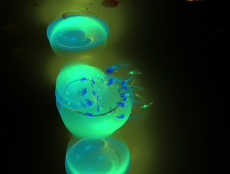 Similar image 21667082