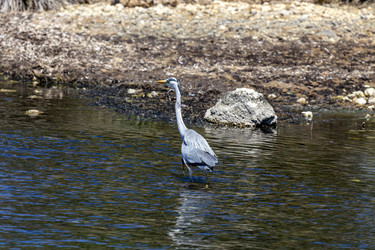 Similar image 21665388