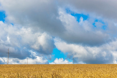 Similar image 21667543