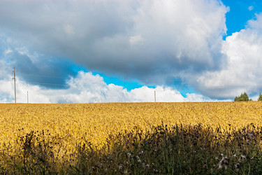 Similar image 21667544