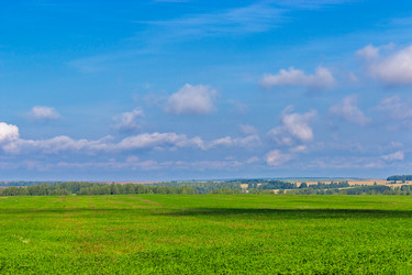 Similar image 21667545