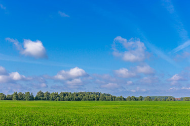 Similar image 21667546