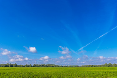 Similar image 21667549