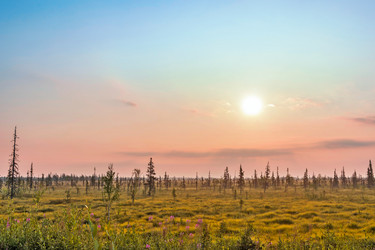 Similar image 21667555