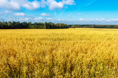 Similar image 21667557