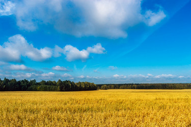 Similar image 21667559