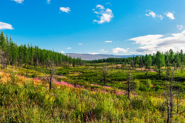 Similar image 21667560