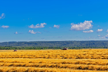 Similar image 21667561