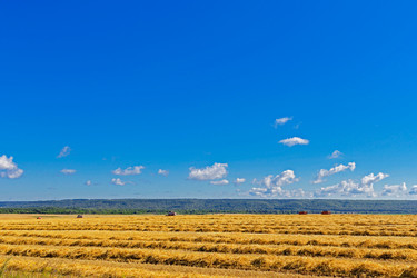 Similar image 21667563