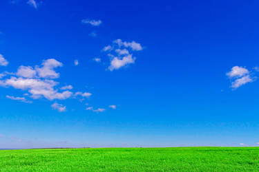 Similar image 21667565