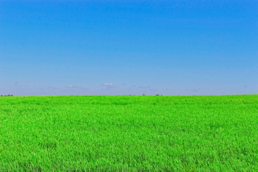 Similar image 21667726