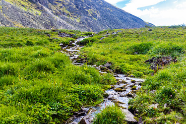 Similar image 21667745