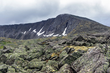 Similar image 21667753