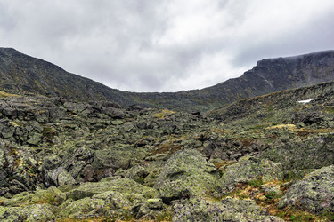 Similar image 21667759