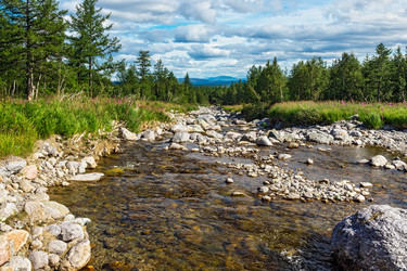 Similar image 21667763