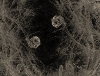 Similar image 21664965