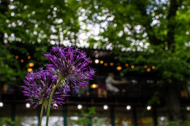 Similar image 21670224