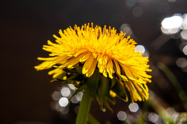 Similar image 21672093