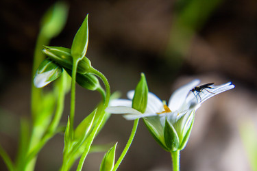 Similar image 21677865