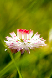 Similar image 21672094