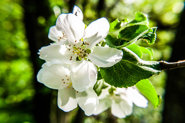 Similar image 21670558