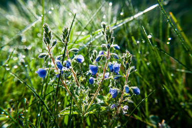 Similar image 21672095