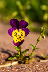 Similar image 21672096