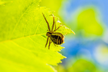 Similar image 21670226