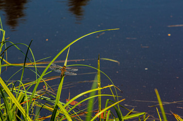 Similar image 21672097