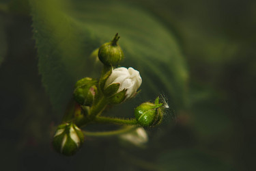 Similar image 21670227