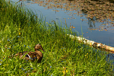 Similar image 21672098