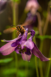 Similar image 21670228