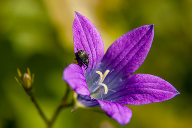 Similar image 21670229