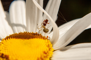 Similar image 21670230