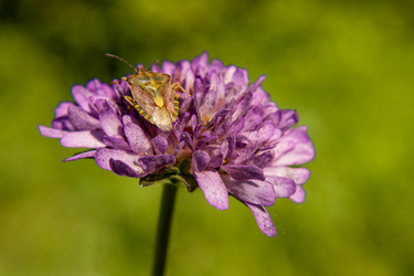 Similar image 21677868