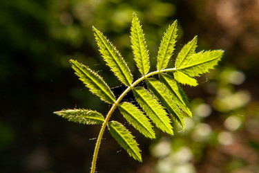 Similar image 21677880