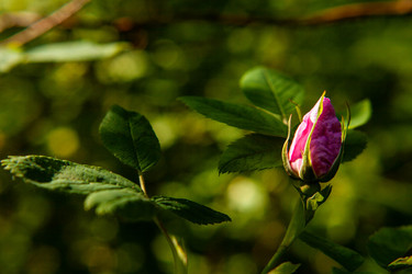 Similar image 21672099