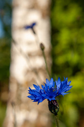 Similar image 21670231