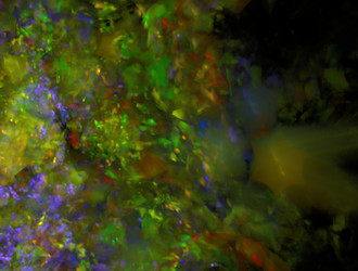 Similar image 21666150