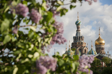 Similar image 21663211