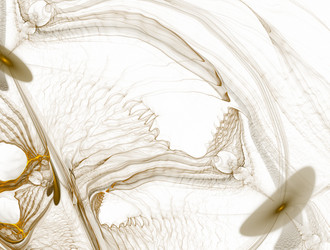 Similar image 21666167