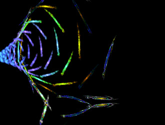 Similar image 21665304