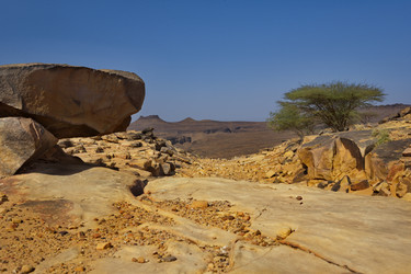 Similar image 21663741