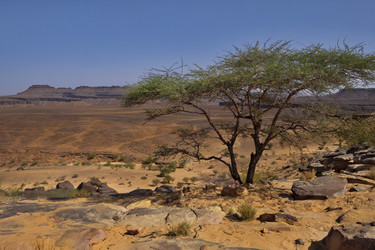 Similar image 21663745