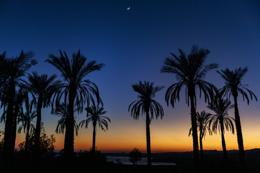 Similar image 21663255