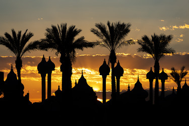 Similar image 21663383