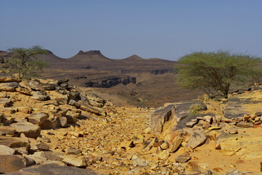 Similar image 21663661